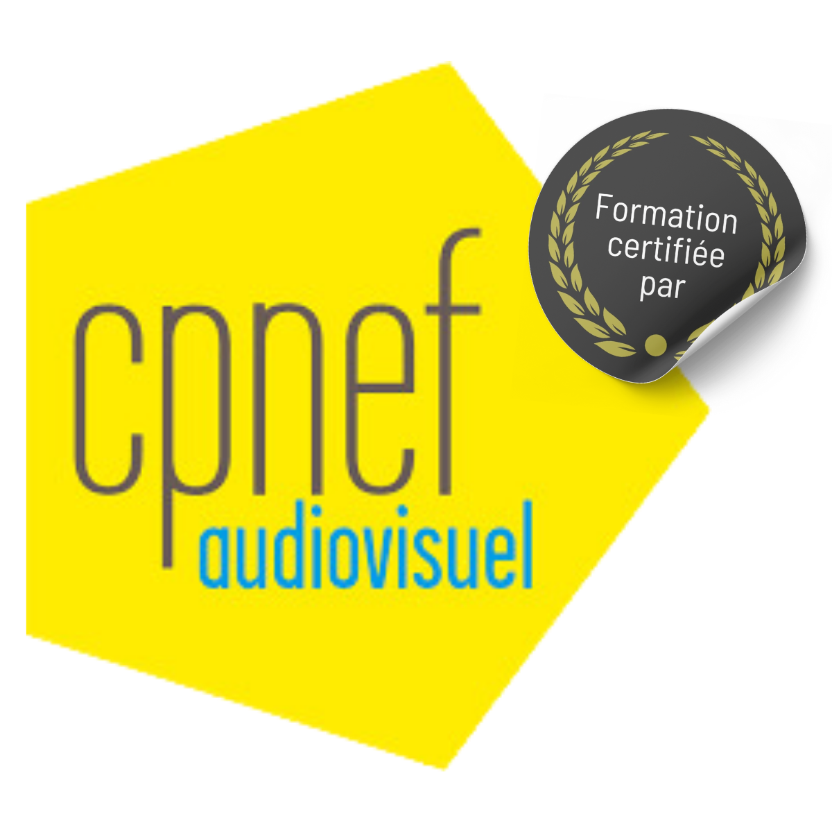 Formation Certifiee CPNEF Audiovisuel CQP ETCN