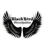 blackbird investigation 21561 cover - La Horde